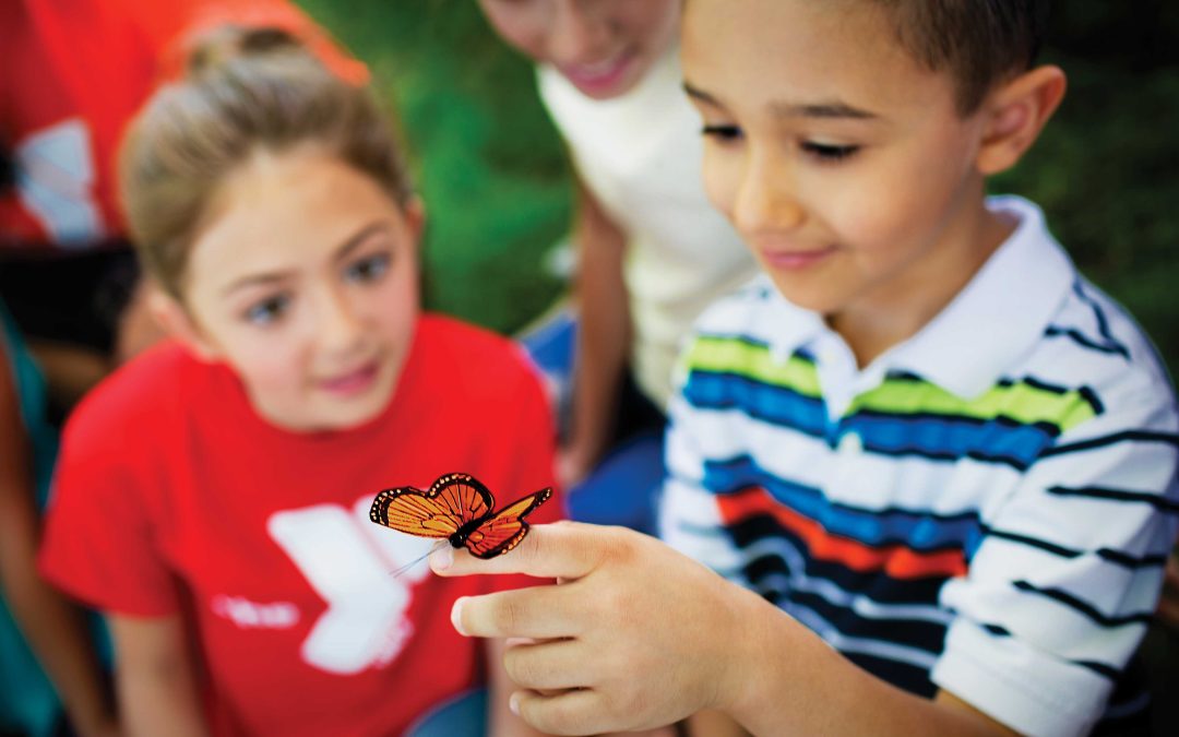 boy-with-butterfly